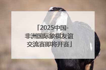 2025中国-非洲国际象棋友谊交流赛即将开赛